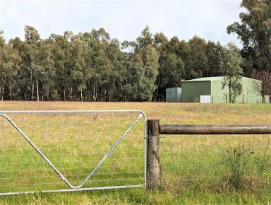 Farm Sold - NSW - Tocumwal - 2714 - RURAL LIFESTYLE  (Image 2)