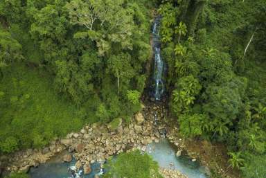 Farm Sold - NSW - Terania Creek - 2480 - Waterfall Wonderland And Rare Rainforest Retreat  (Image 2)