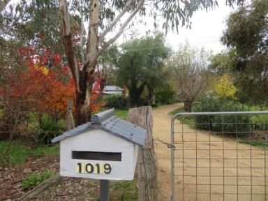 Farm Sold - NSW - Gundagai - 2722 - 'Sentosa' The perfect Tree Change  (Image 2)