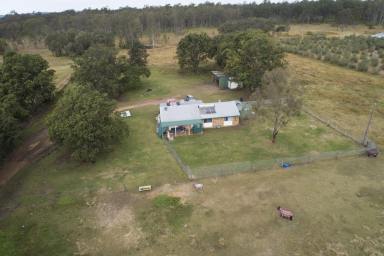 Farm Sold - QLD - Lockyer Waters - 4311 - 10 ACRES, HOUSE, DAM - TICK, TICK, TICK  (Image 2)