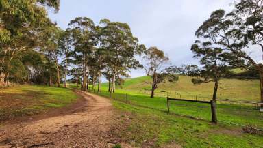 Farm Sold - SA - Meadows - 5201 - Oh, the serenity!  (Image 2)