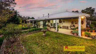 Farm Sold - NSW - Mudgee - 2850 - LIVE IN YOUR OWN PRIVATE PARK  (Image 2)