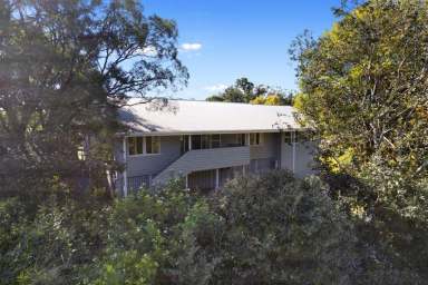 Farm Sold - QLD - Tansey - 4601 - THE OLD SCHOOLYARD  (Image 2)