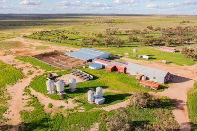 Farm Sold - NSW - Hay - 2711 - Flagship Riverina Asset  (Image 2)
