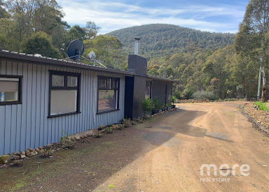 Farm Sold - TAS - Collinsvale - 7012 - Your tree-change is calling you!  (Image 2)