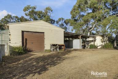 Farm Sold - TAS - Dolphin Sands - 7190 - Escape to the Shack at Nine Mile Beach  (Image 2)