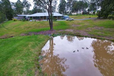 Farm Sold - NSW - Coolongolook - 2423 - The Green Thumbs Utopia  (Image 2)