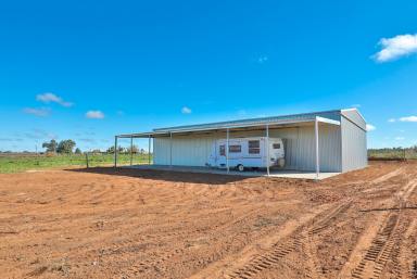 Farm Sold - VIC - Merbein - 3505 - Prime parcel of land bursting with potential!  (Image 2)