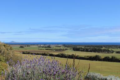 Farm Sold - TAS - Whitemark - 7255 - The View is Astonishing!  (Image 2)