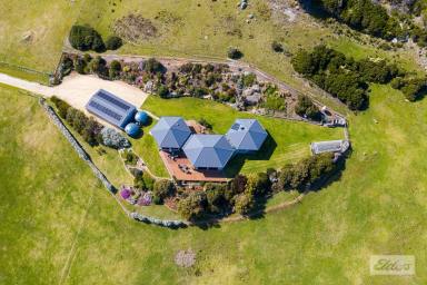 Farm Sold - TAS - Whitemark - 7255 - The View is Astonishing!  (Image 2)