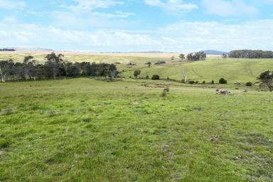 Farm Sold - TAS - Beaconsfield - 7270 - Private Rural Block, with Great Views and Water.  23 acres.  (Image 2)
