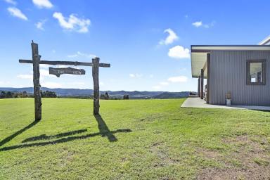 Farm Sold - NSW - Ballengarra - 2441 - Nestled on the foothills of Mount Cairncross with Breathtaking Views, your Perfect Eco Rural Lifestyle Awaits!  (Image 2)