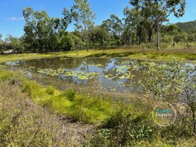 Farm Sold - QLD - Oak Valley - 4811 - SOLD By Mal and Phill Charlwood  (Image 2)