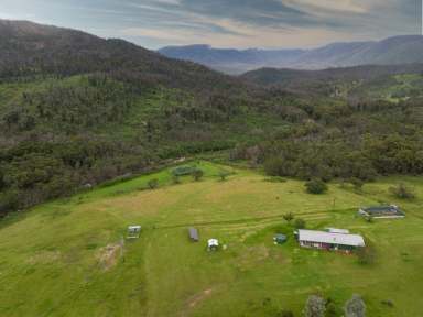 Farm Sold - NSW - Bemboka - 2550 - BLINK AND YOU'LL MISS IT!  (Image 2)