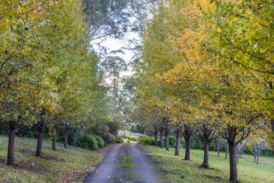 Farm Sold - NSW - Kangaroo Valley - 2577 - Quality Home on Acreage in The Valley's Best Country Lane  (Image 2)