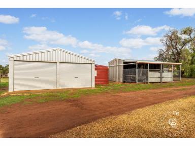 Farm Sold - SA - Sanderston - 5237 - The Perfect, Affordable, Horse and Lifestyle Property  (Image 2)