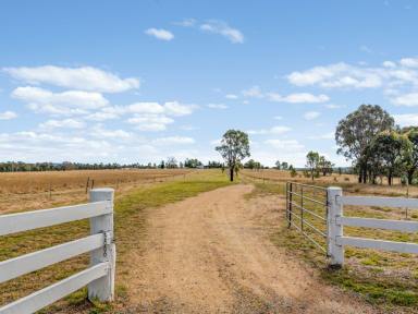 Farm Sold - QLD - Rosenthal Heights - 4370 - "MORRIS COUNTRY" Lifestyle plus Living on Glen Rd....  (Image 2)