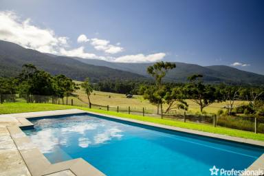 Farm For Sale - VIC - Wesburn - 3799 - 360° VIEWS OF GOD'S COUNTRY  (Image 2)