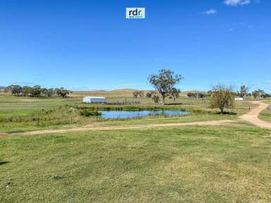 Farm For Sale - NSW - Inverell - 2360 - FERNLEE  (Image 2)