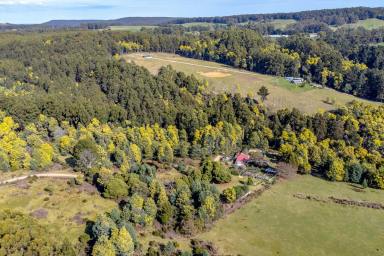 Farm Sold - TAS - Highcroft - 7183 - ARE YOU CRAVING PEACE & QUIET?  (Image 2)