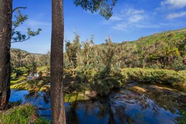 Farm Sold - WA - Southampton - 6253 - STUNNING RIVER FRONTAGE!  (Image 2)