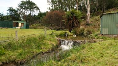 Farm Sold - TAS - Beulah - 7306 - Under Contract - Lifestyle Living and Commuting Convenience  (Image 2)