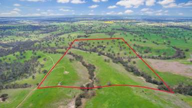 Farm For Sale - VIC - Harrow - 3317 - Beautiful seclusion - lifestyle and farming...  (Image 2)