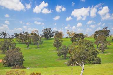 Farm For Sale - VIC - Harrow - 3317 - Beautiful seclusion - lifestyle and farming...  (Image 2)