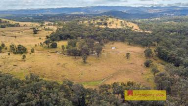 Farm Sold - NSW - Mudgee - 2850 - "WYRELLA"  (Image 2)