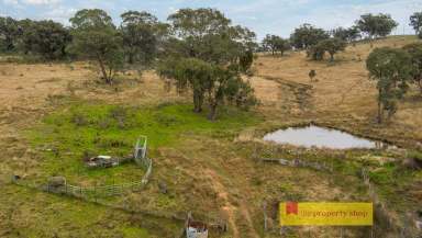 Farm Sold - NSW - Mudgee - 2850 - "WYRELLA"  (Image 2)