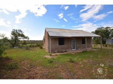 Farm Sold - SA - Cambrai - 5353 - Buy 1,2 or all 3 and enjoy this scenic, semi-productive lifestyle playground  (Image 2)