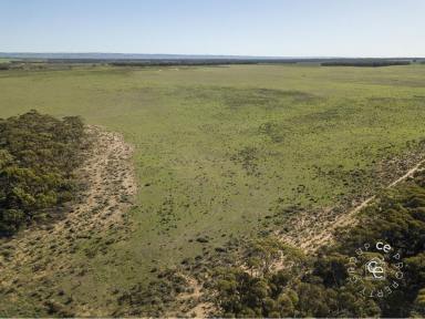 Farm Sold - SA - Cambrai - 5353 - Buy 1,2 or all 3 and enjoy this scenic, semi-productive lifestyle playground  (Image 2)