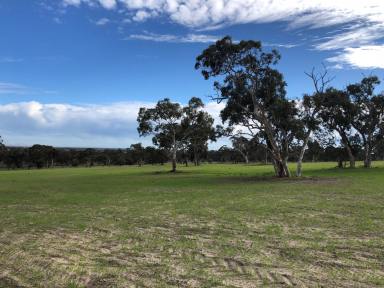 Farm Sold - SA - Padthaway - 5271 - Lifestyle, Stunning Views, Endless Possibilities  -  91.8 Acres  (Image 2)