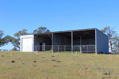 Farm For Sale - NSW - Tunglebung - 2469 - Endless Rural Opportunity  (Image 2)