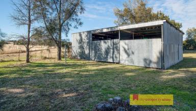 Farm Sold - NSW - Mudgee - 2850 - BUILD YOUR DREAM HERE  (Image 2)