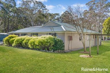 Farm Sold - NSW - Fitzroy Falls - 2577 - Now Incredible Value In Any Market  (Image 2)