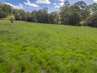 Farm Sold - QLD - Goomboorian - 4570 - Build your dream home and lifestyle here!!  (Image 2)