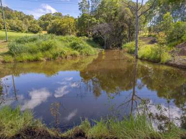 Farm Sold - QLD - Goomboorian - 4570 - Build your dream home and lifestyle here!!  (Image 2)