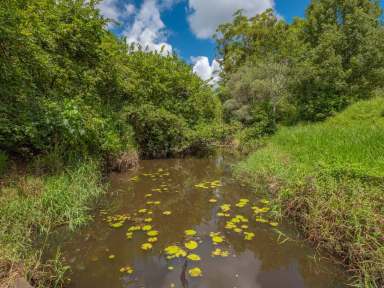 Farm Sold - QLD - Goomboorian - 4570 - "The View The Water The Location"  (Image 2)