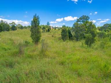 Farm Sold - QLD - Araluen - 4570 - 73 Acres of AAA Location at Gympie  (Image 2)