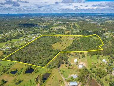 Farm Sold - QLD - Araluen - 4570 - 73 Acres of AAA Location at Gympie  (Image 2)