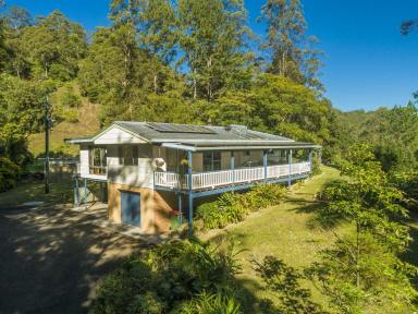 Farm Sold - NSW - Nimbin - 2480 - Feels Like You're On Top Of The World – Million Dollar Views  (Image 2)