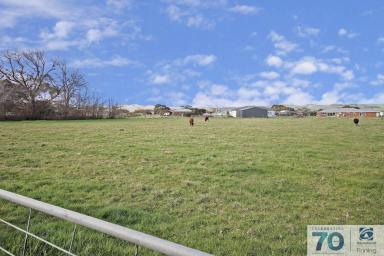 Farm For Sale - VIC - Bass - 3991 - OH I DO LOVE THE COUNRTY - NO BULL!!!  (Image 2)