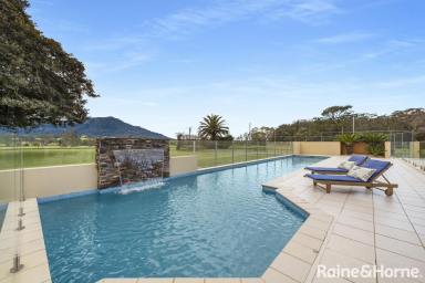 Farm Sold - NSW - Tapitallee - 2540 - This Could Be The One  (Image 2)