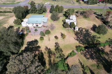 Farm Sold - NSW - Bunnan - 2337 - Character and Charm, Willow Wood!  (Image 2)