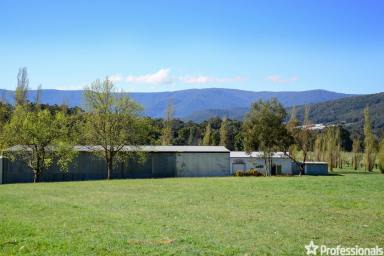 Farm Sold - VIC - Gladysdale - 3797 - 71 ACRES APPROX AND STUNNING VIEWS  (Image 2)