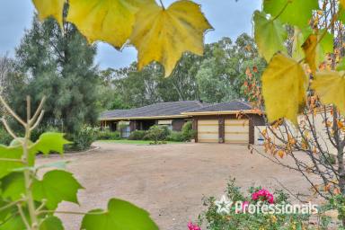 Farm Sold - NSW - Wentworth - 2648 - The Darling Rose  (Image 2)