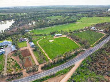 Farm Sold - VIC - Yelta - 3505 - Picturesque lifestyle allotment next to the Murray River  (Image 2)
