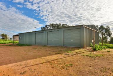 Farm Sold - VIC - Yelta - 3505 - Picturesque lifestyle allotment next to the Murray River  (Image 2)