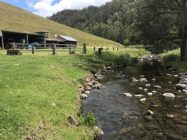 Farm Sold - NSW - Cobark - 2422 - Land of Natural Beauty & Sustainability.  (Image 2)